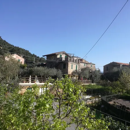 Dei Boi * Ventimiglia