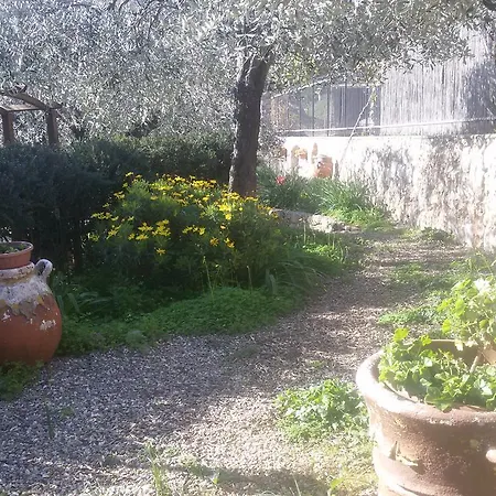 Dei Boi * Ventimiglia