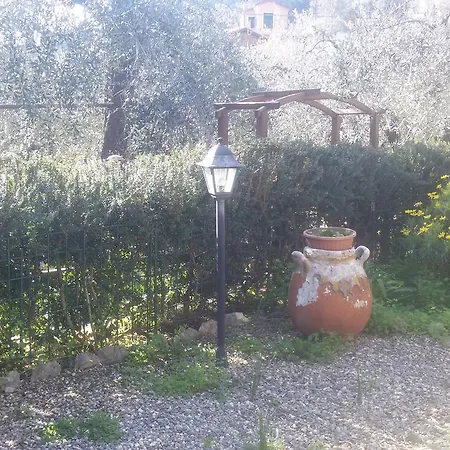 Dei Boi Seglia San Bernardo