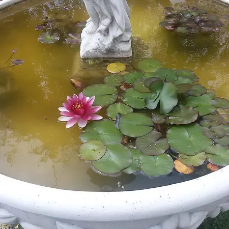博伊罗坎达宾馆 *
