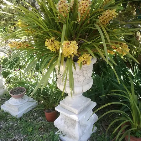 博伊罗坎达宾馆 * Seglia San Bernardo