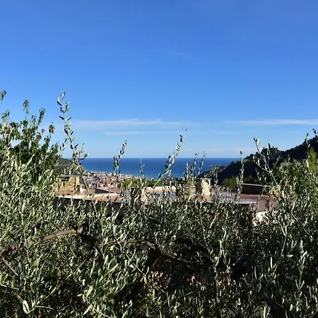 Dei Boi Ventimiglia