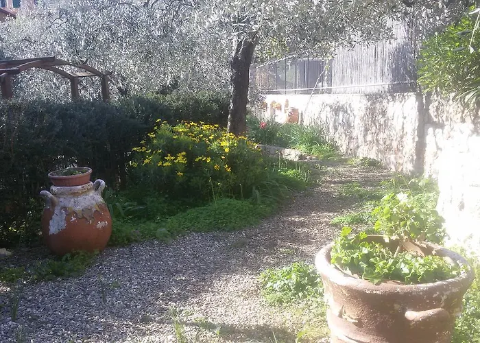 Dei Boi * Ventimiglia