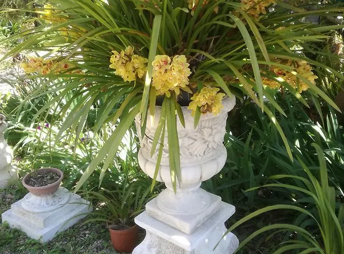 Dei Boi * Ventimiglia